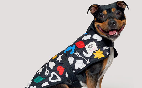 Gorman dog raincoat discount