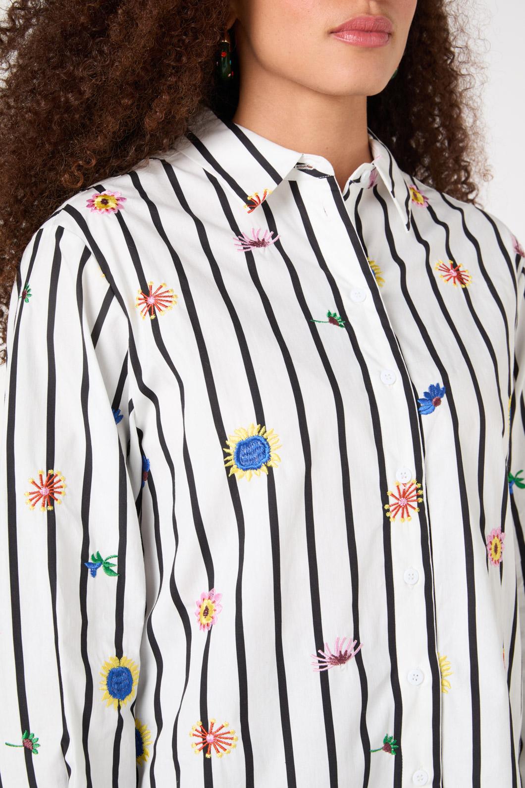 stripe