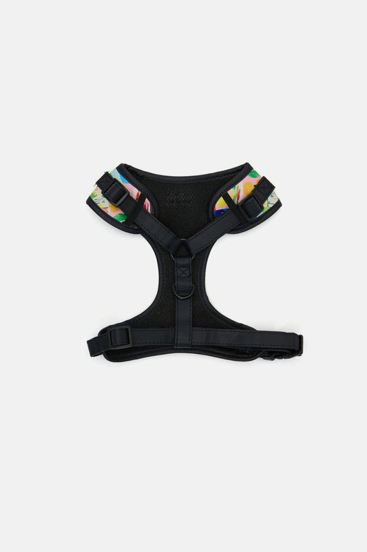 Gorman - Montage Pet Harness Med - print