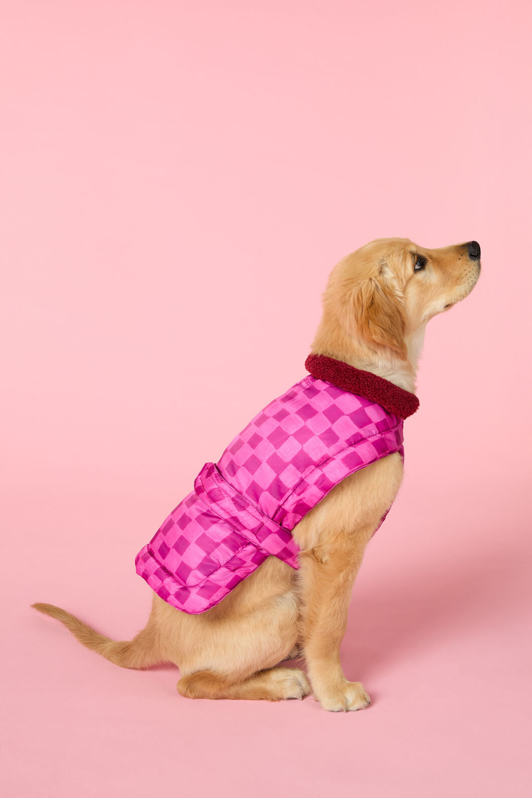 Blush Grids Dog Puffer – Gorman - Main Image