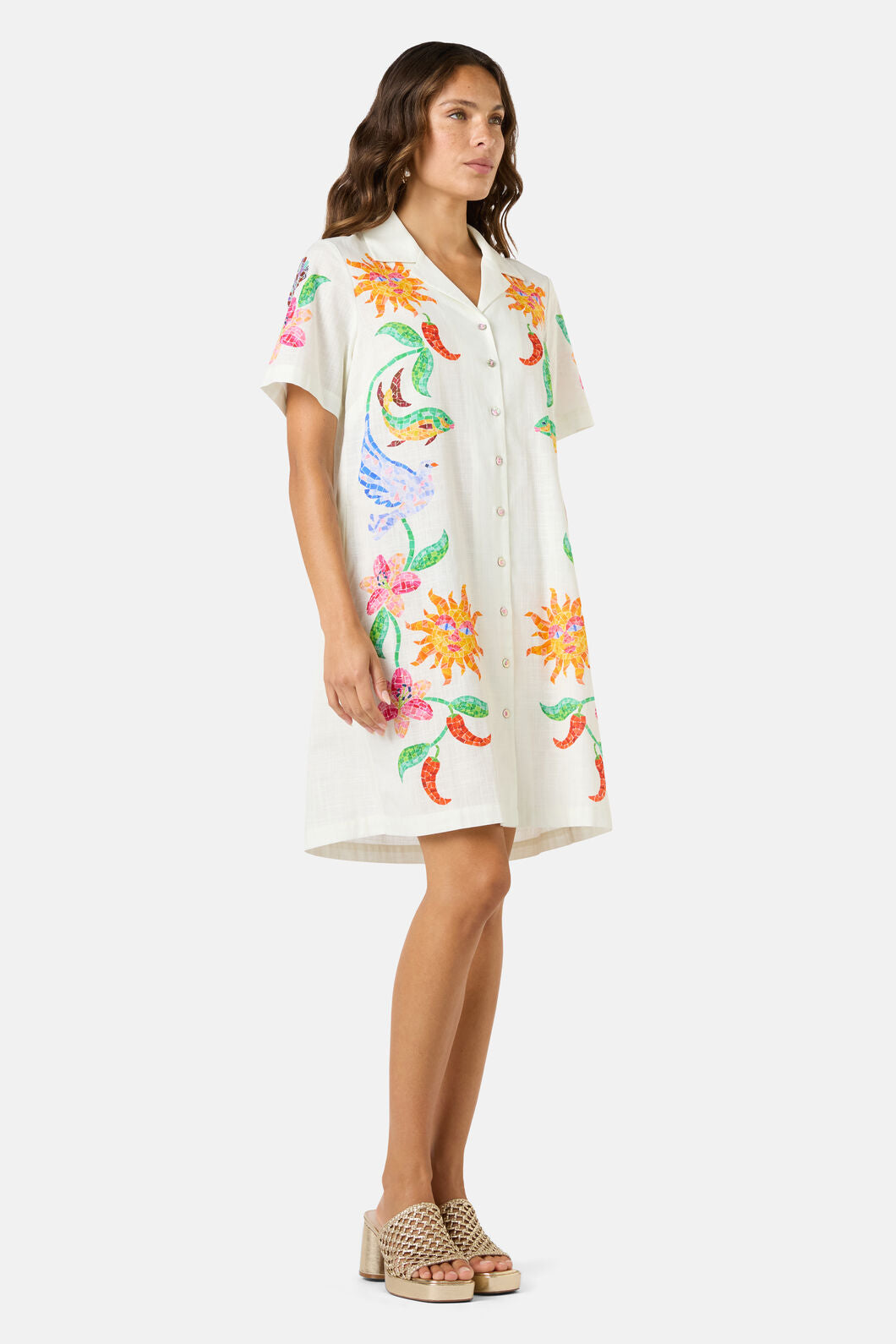 Gorman - Mosaic Mile Cotton Shirt Dress - print