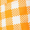 Gingham Glow Short