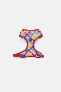 Gorman - Stardom Dog Harness Small - print