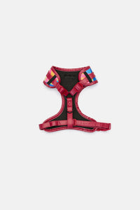 Gorman - Stardom Dog Harness Small - print