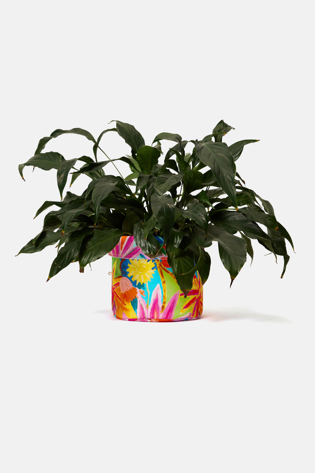 Gorman - Celebrate Tub Lge - print