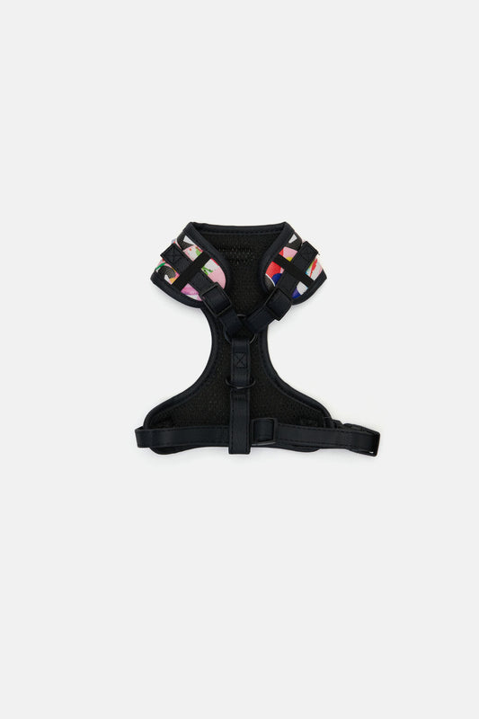 Gorman - Montage Pet Harness Sml - print