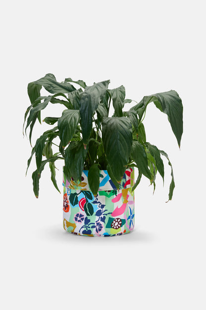 Gorman - Garden Fiesta Planter Lge - print
