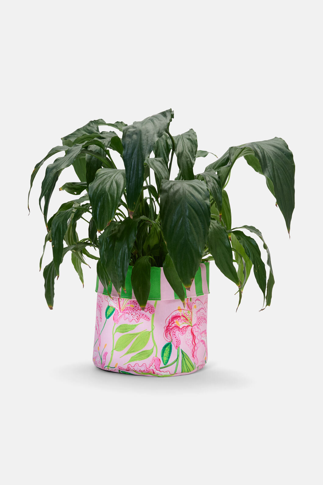 Gorman - Pop Lily Planter Lge - print
