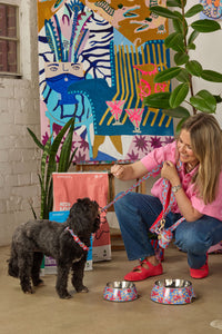 Gorman - Lobster Pet Harness Small - print