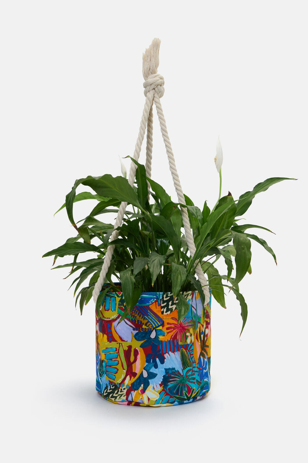 Gorman - Living Tapestry Hanging Planter Lge - print