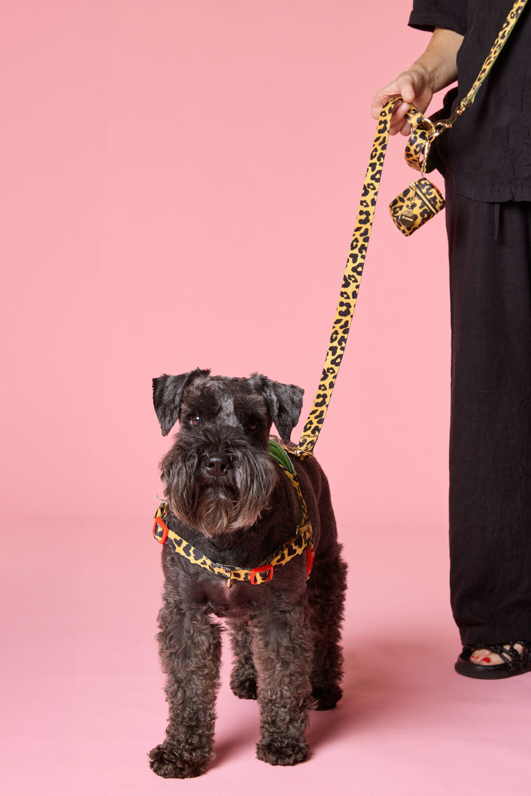 Gorman - Leopard Hands-Free Dog Leash - print