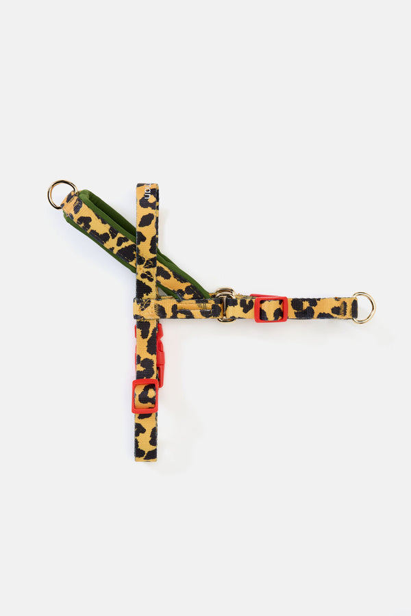 Gorman - Leopard Dog Harness - print
