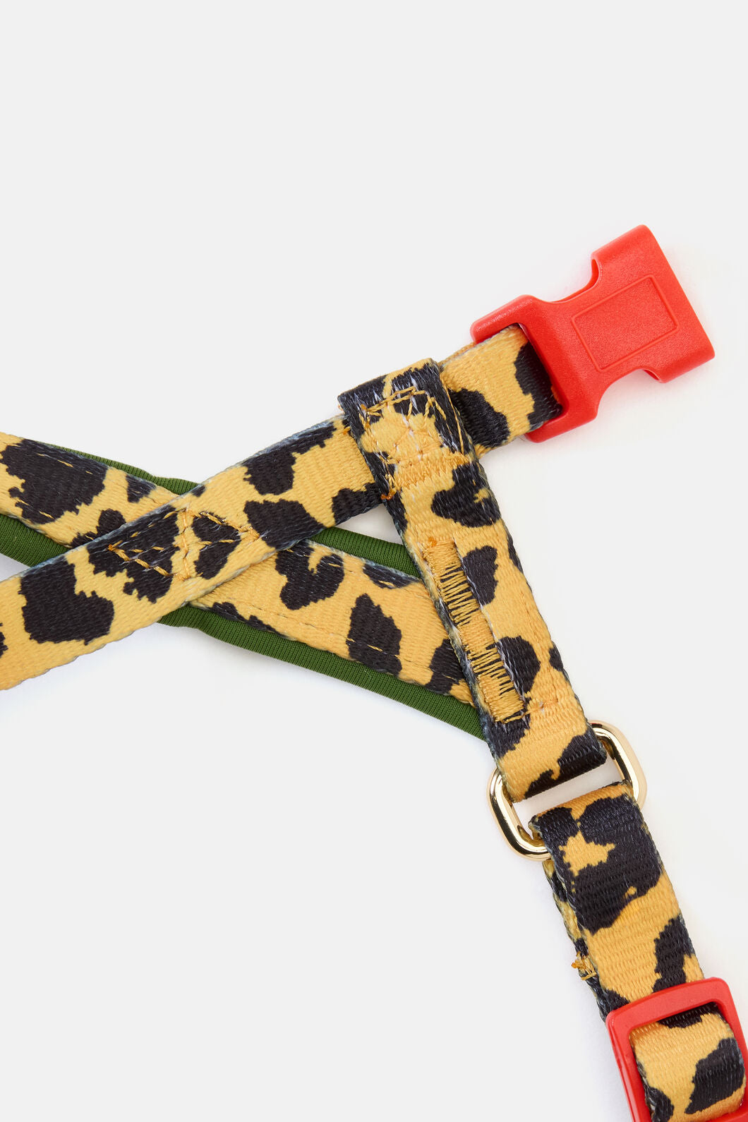 Gorman - Leopard Dog Harness - print