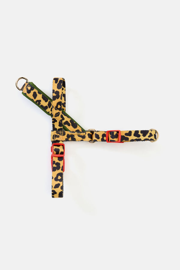 Gorman - Leopard Dog Harness - print