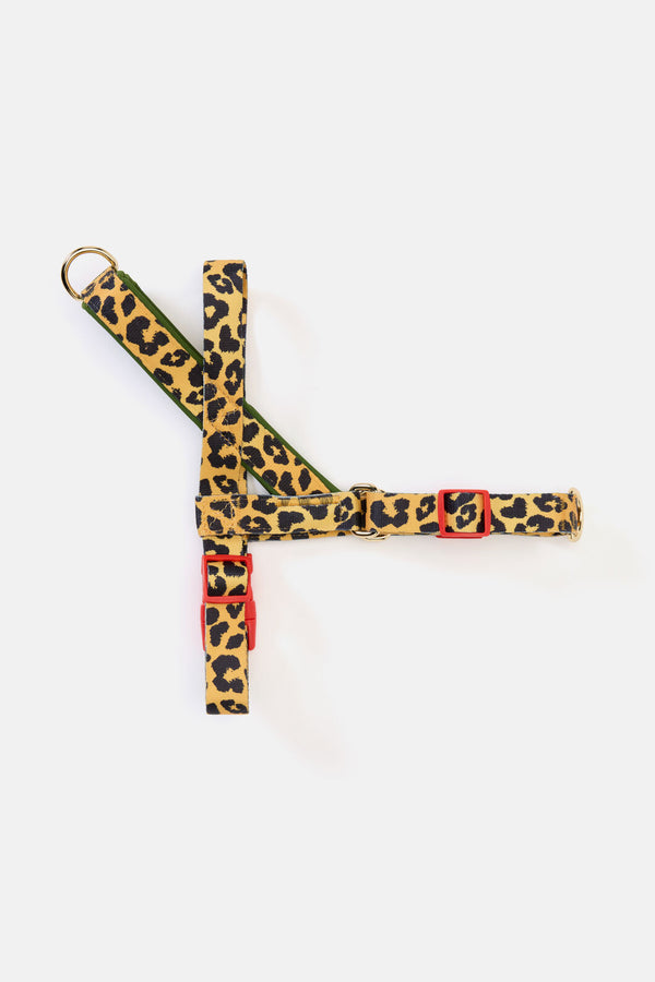 Gorman - Leopard Dog Harness - print