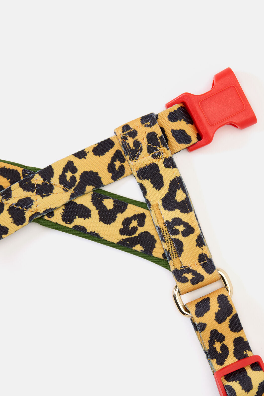 Gorman - Leopard Dog Harness - print