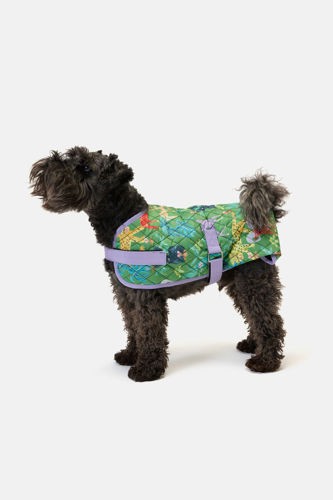 Gorman - Orchid Safari Quilted Dog Coat - print