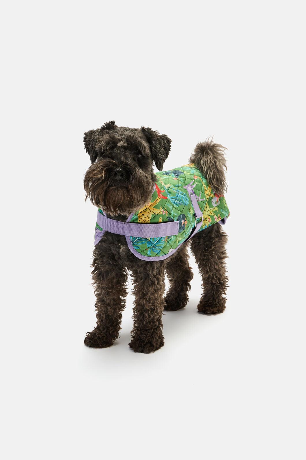 Gorman - Orchid Safari Quilted Dog Coat - print