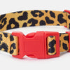 Leopard Dog Collar Lge