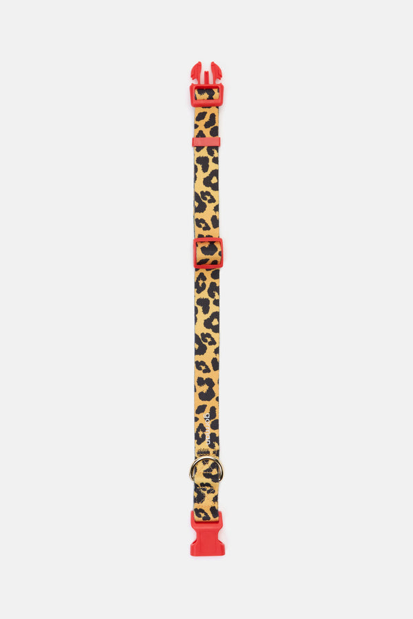Gorman - Leopard Dog Collar Lge - print