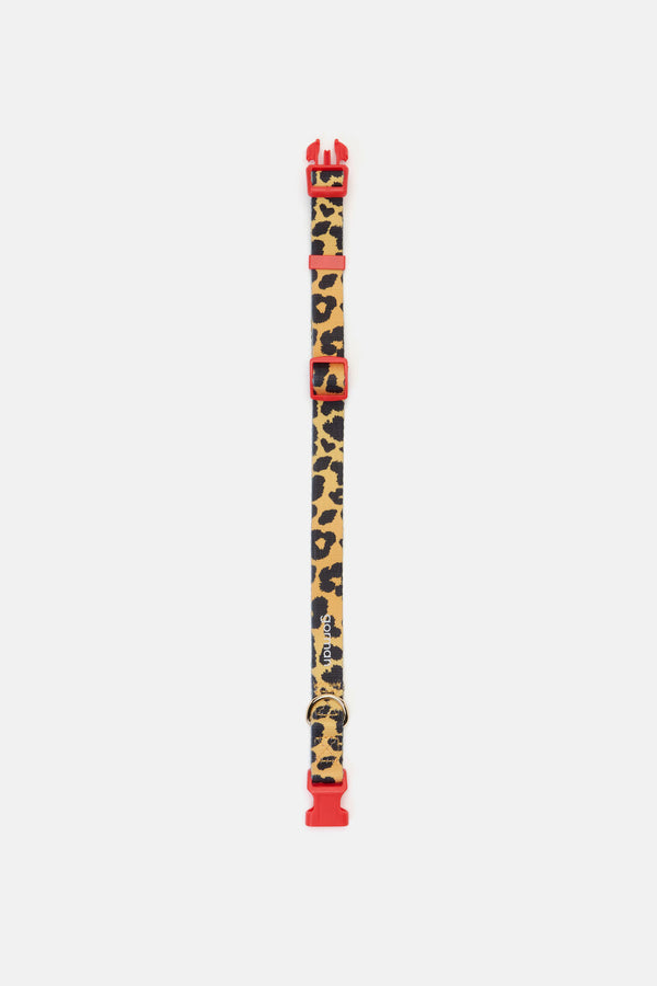 Gorman - Leopard Dog Collar Sml - print