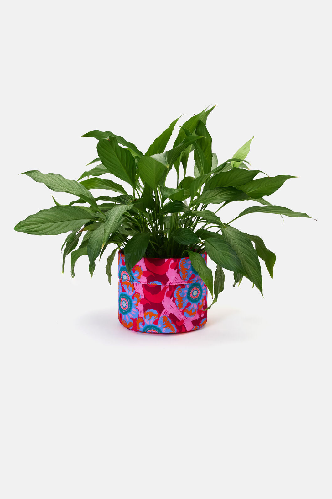 Gorman - Tiger Flower Planter Lge - print