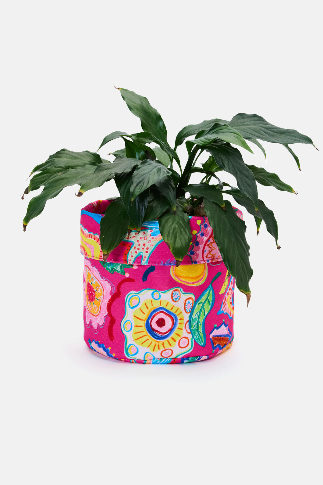 Gorman - Fantastical Planter Lge - print