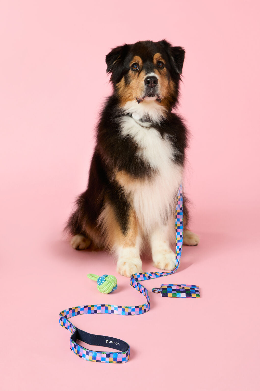 Gorman - Checkers Pet Gift Set - print