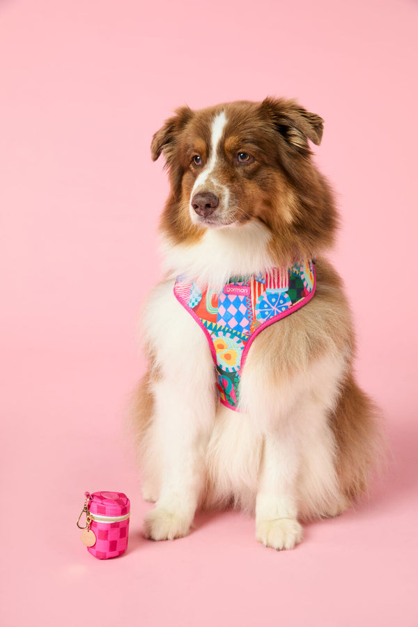 Gorman - Bon Appetite Pet Gift Set - print