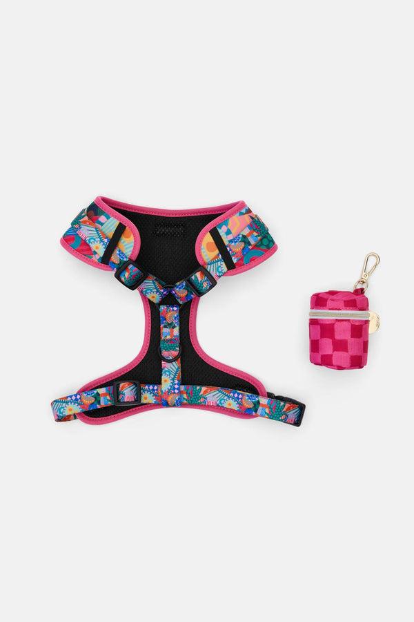 Gorman - Bon Appetite Pet Gift Set - print