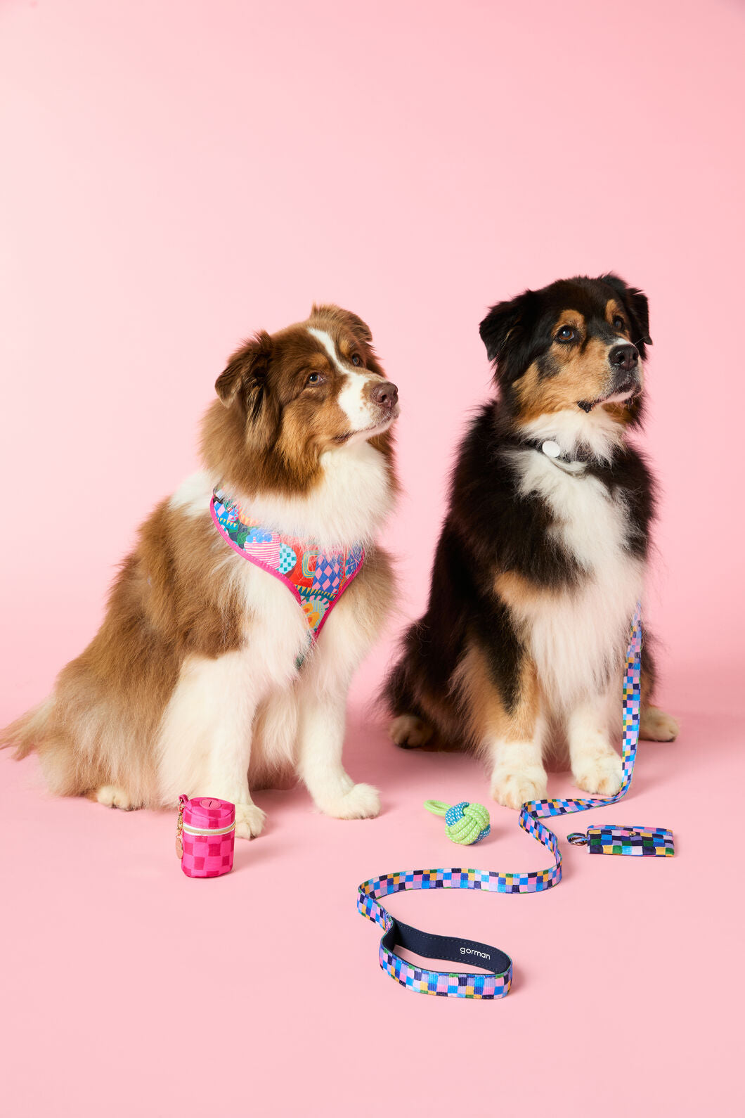 Gorman - Bon Appetite Pet Gift Set - print