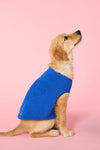 Gorman - Heart Felt Knit Dog Jumper - blue
