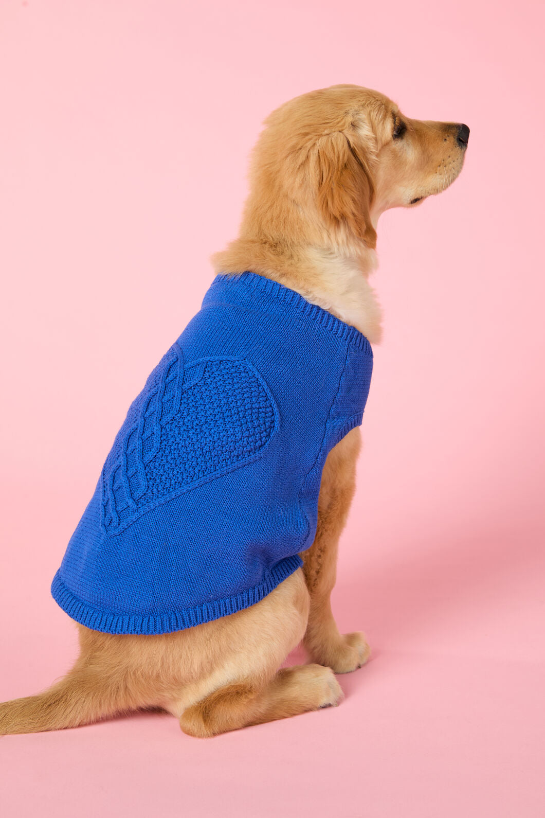 Gorman - Heart Felt Knit Dog Jumper - blue