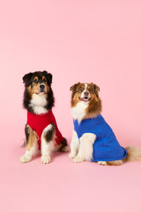 Gorman - Heart Felt Knit Dog Jumper - blue
