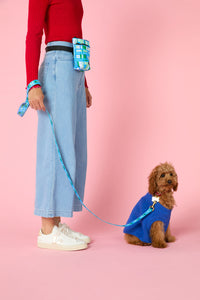Gorman - Heart Felt Knit Dog Jumper - blue