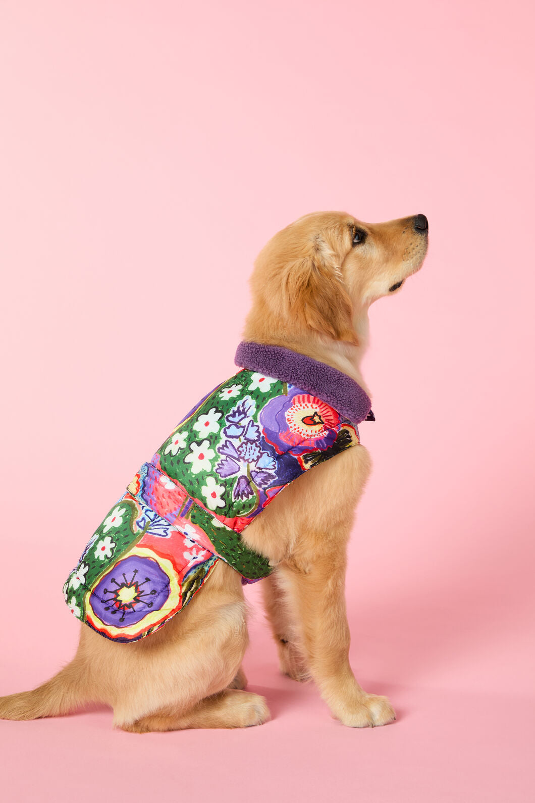 Gorman - Petal Palette Dog Puffer - print