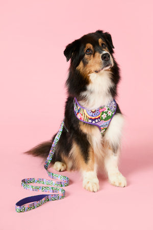 Gorman - Petal Pallette Pet Gift Set - print