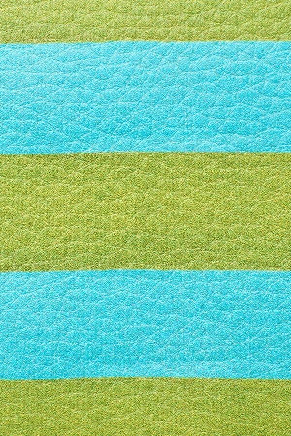 Gorman - Holiday Stripe Purse - print