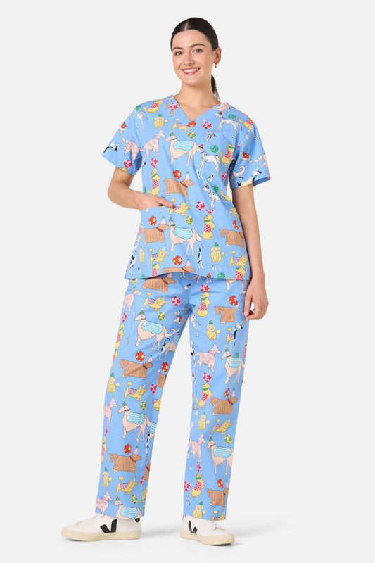 Gorman - Dog Picnic Scrub Set - blue