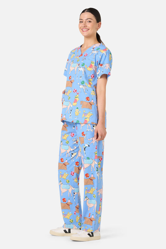 Gorman - Dog Picnic Scrub Set - blue